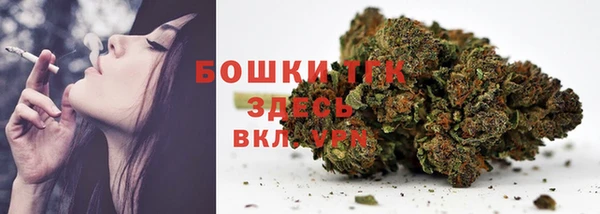 бошки Тайга