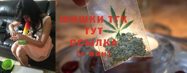 Альфа ПВП Тавда