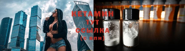 бошки Тайга