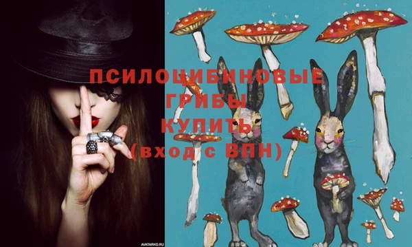 ALPHA PVP Сясьстрой