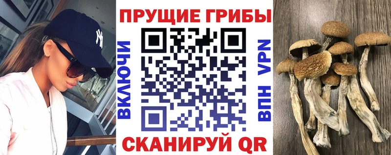 Псилоцибиновые грибы Magic Shrooms  Топки 